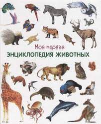 Моя первая энциклопедия животных ― ОПТ КНИГ